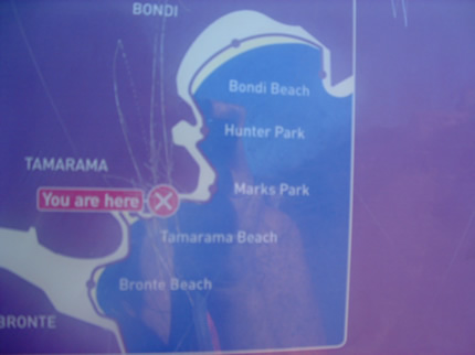 Bronte to Bondi Beach